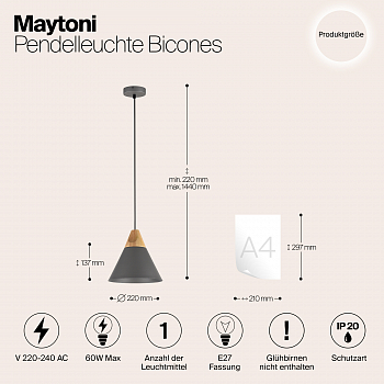 Светильник одинарный Maytoni P359-PL-220-C