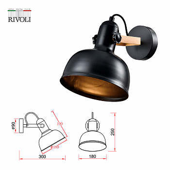Спот на 1 лампу Rivoli 4121-401
