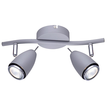 Спот на 2 лампы ARTE LAMP A1966AP-2GY